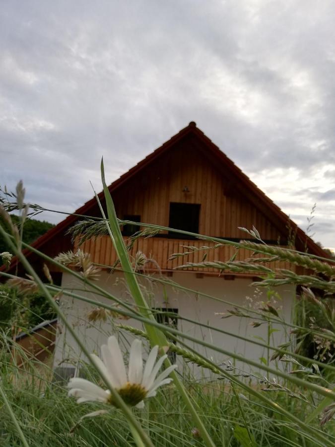 Bioferienhaus Muster - Dominkusch Possnitz Exterior foto